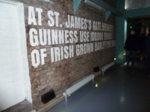 Lots of barley is used to make Guinness