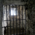 A cell