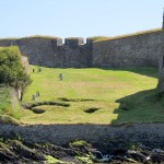 Charles Fort