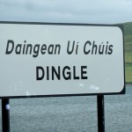 Back in DIngle