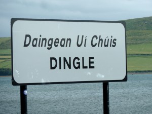 Back in DIngle