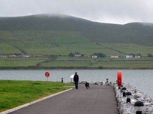 Dog walking in DIngle harbour