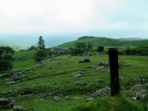 Driving through Kerry