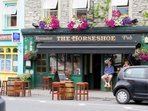 The Horseshoe Pub, just down the road