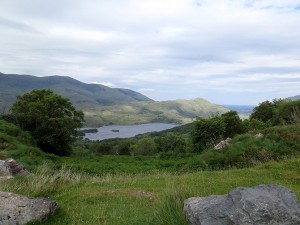 We stopped here to take a photo on our drive to Kenmare