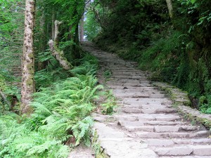 Stairs to climb higher