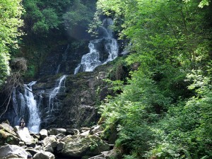 Torq waterfall