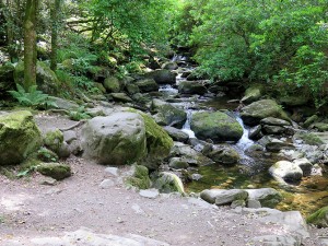 Bottom of waterfall