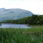 Muckross Lake