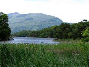 Muckross Lake