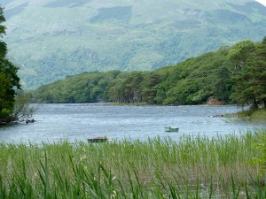 Another view of the lake