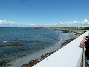 View from the wall