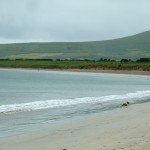 Ventry Beach