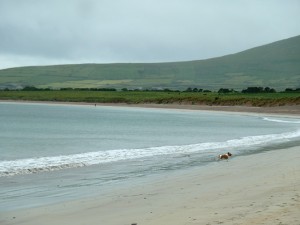 Ventry Beach