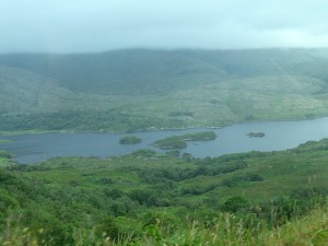 Overlooking the lake