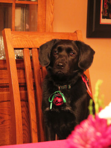 Ray with her Christmas bell