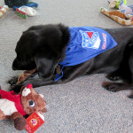 Ray in her Rangers bandana, enjoying her presents